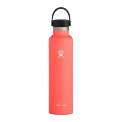 Hydro Flask 24 Oz Standard Mouth Water Bottle 36 Hydro Flask 24 Oz Standard Mouth Water Bottle -Outdoors Shop 125 400759 1788138 image 1161117 beb42765 db8c 4ed1 905a 04bc16aa446c