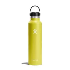 Hydro Flask 24 Oz Standard Mouth Water Bottle 33 Hydro Flask 24 Oz Standard Mouth Water Bottle -Outdoors Shop s24fs752 cactus straighton